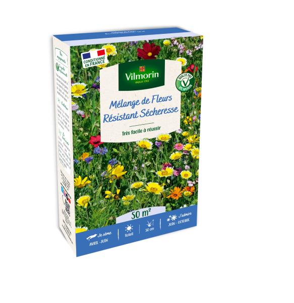 Mélanges de fleurs - Fleurs Terrain Sec - 50 m² - Mélange de fleurs - face recto